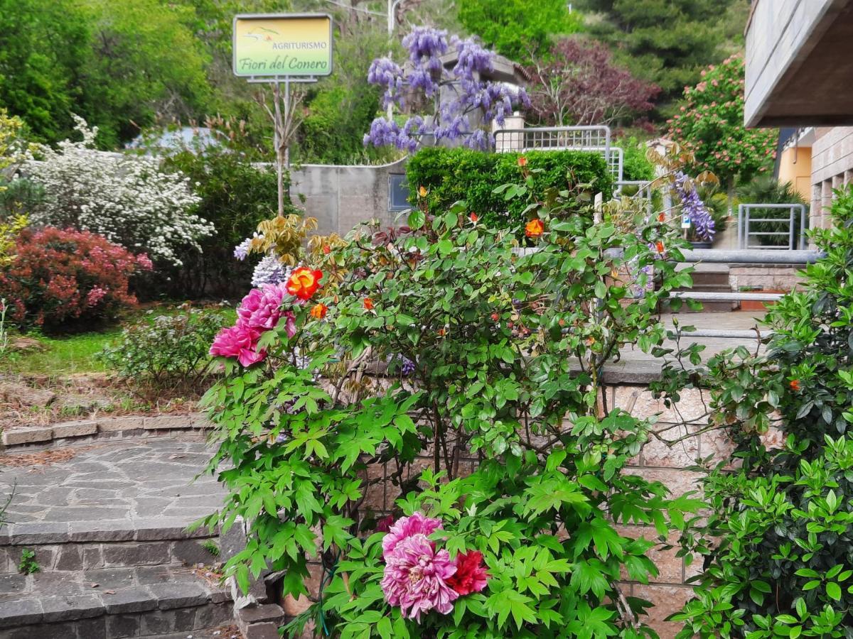 Fiori Del Conero Vila Ancona Exterior foto